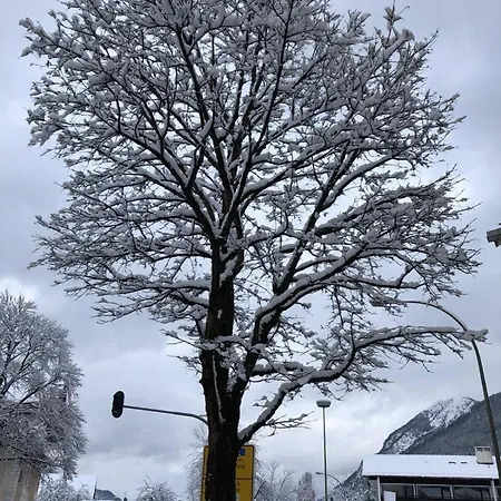 Apartamento Schneegloeckchen *
